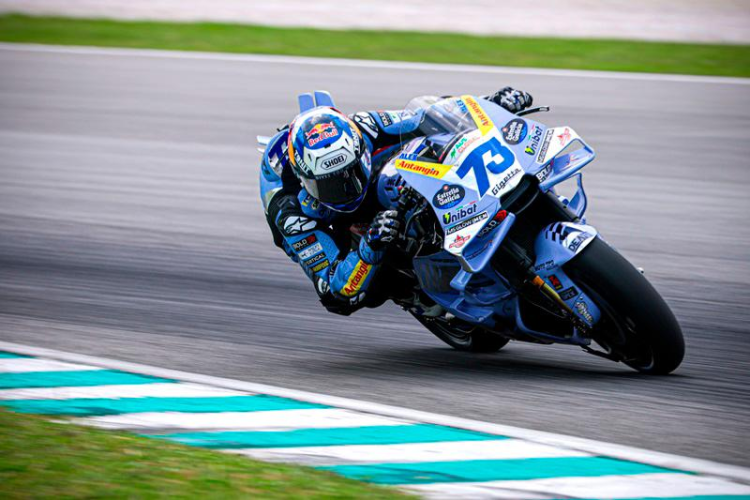 numero alex marquez 73