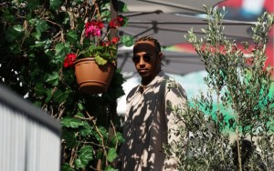 gp baku f1 hamilton 2022 getty
