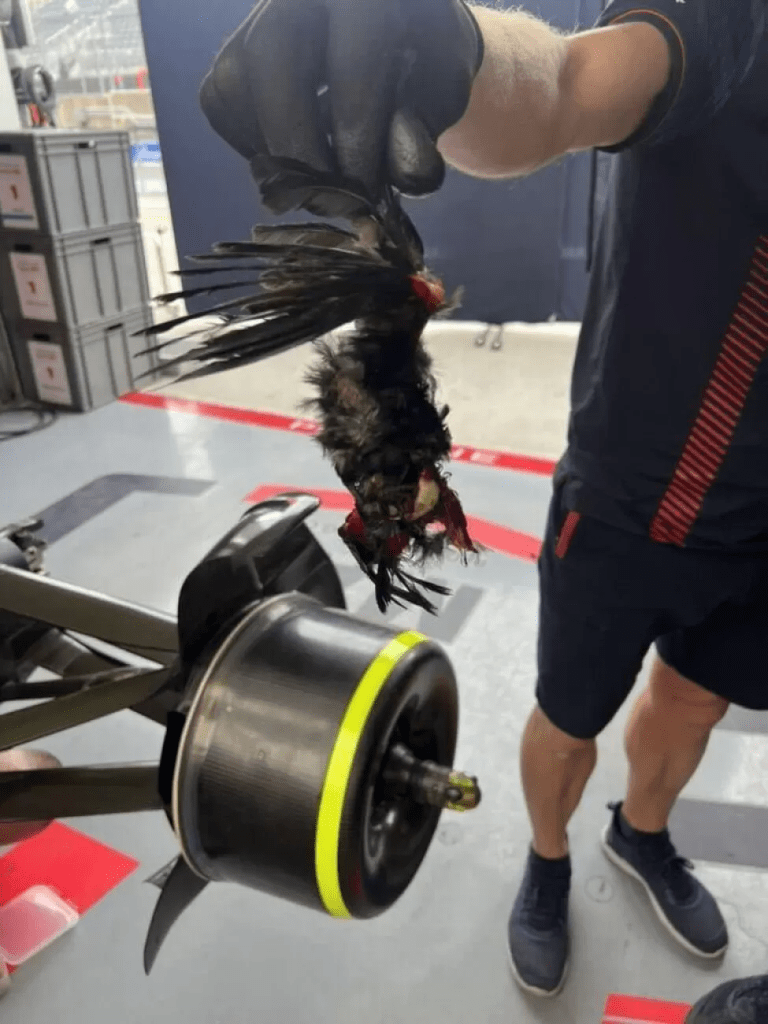 Un imprevisto a metà gara ha quasi causato problemi a Max Verstappen sulla strada per la sua sesta vittoria stagionale.