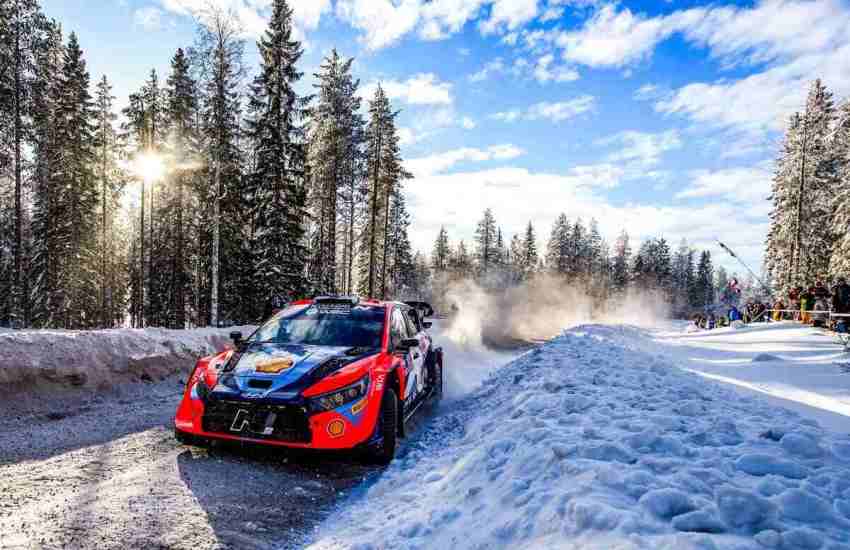 wrc lappi svezia 2024