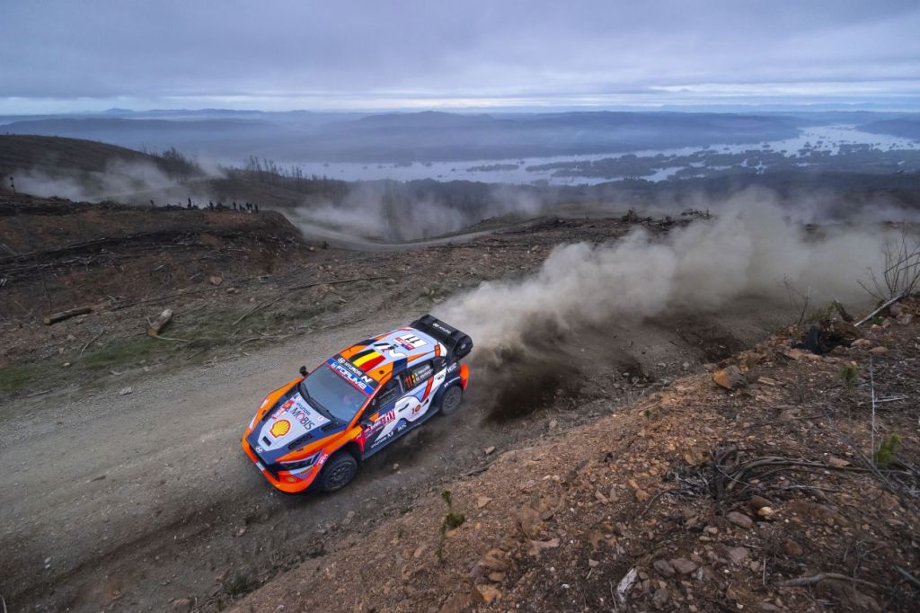 Thierry Neuville action