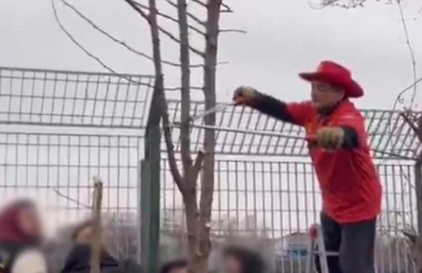 L’entusiasmo per il debutto della nuova Ferrari SF-25 ha portato migliaia di tifosi a Fiorano per assistere ai primi giri in pista di Charles Leclerc e Lewis Hamilton.