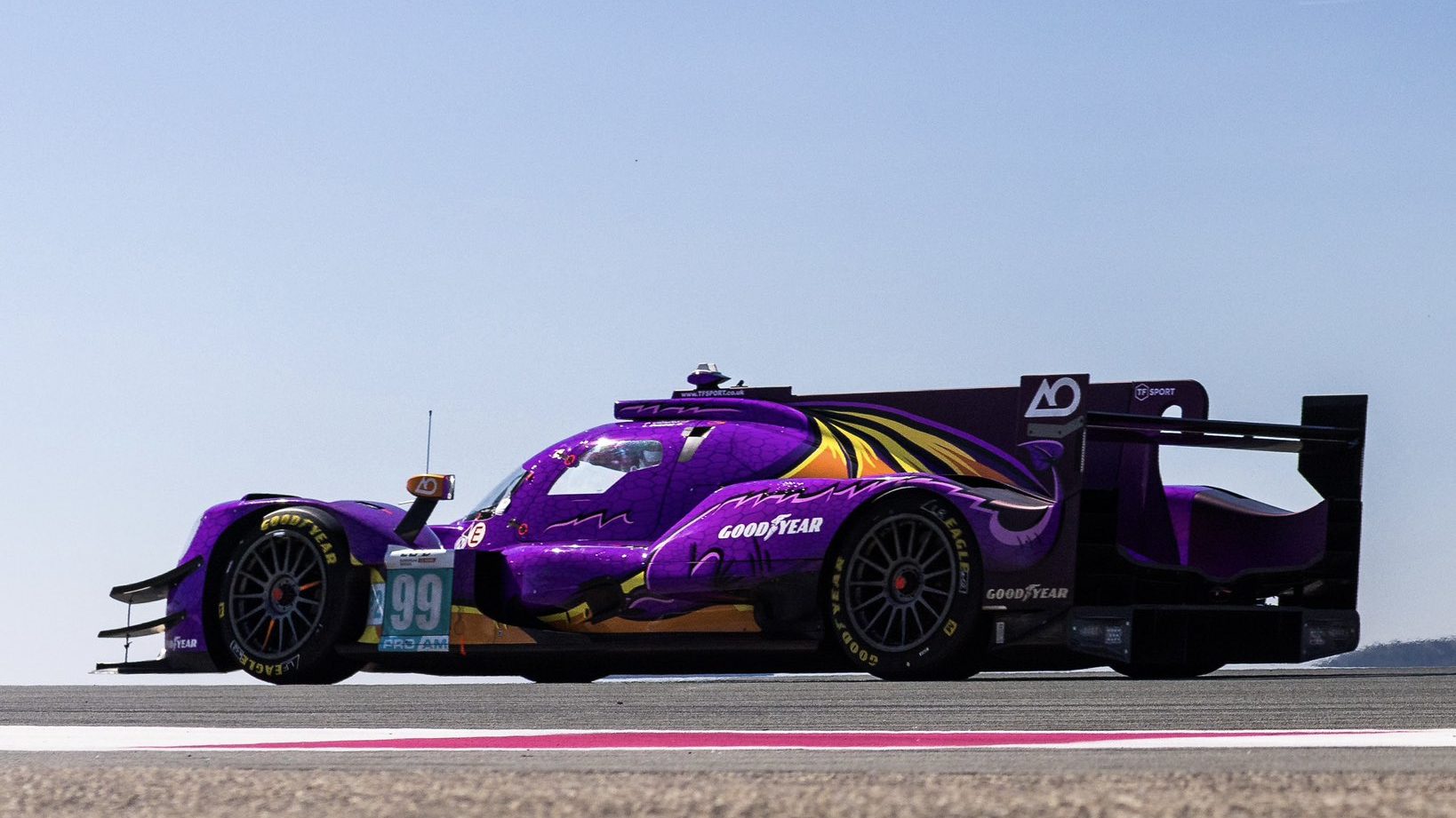 elms - cairoli svetta

