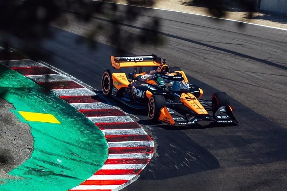 pato laguna seca