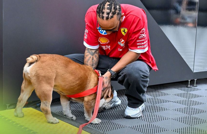 Lewis Hamilton insieme al suo cane, Roscoe