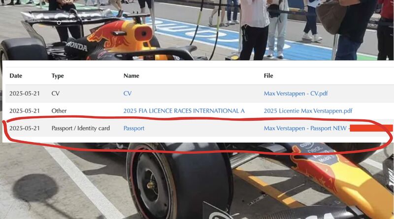 FIA hacker Max verstappen f1